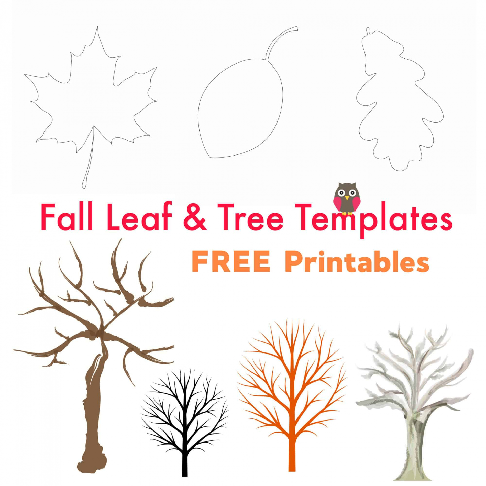 Free Printable Fall Leaf and Tree Templates - Emma Owl