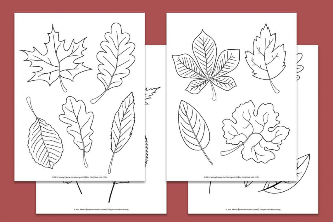 Free Printable Fall Leaves Coloring Pages  Mrs