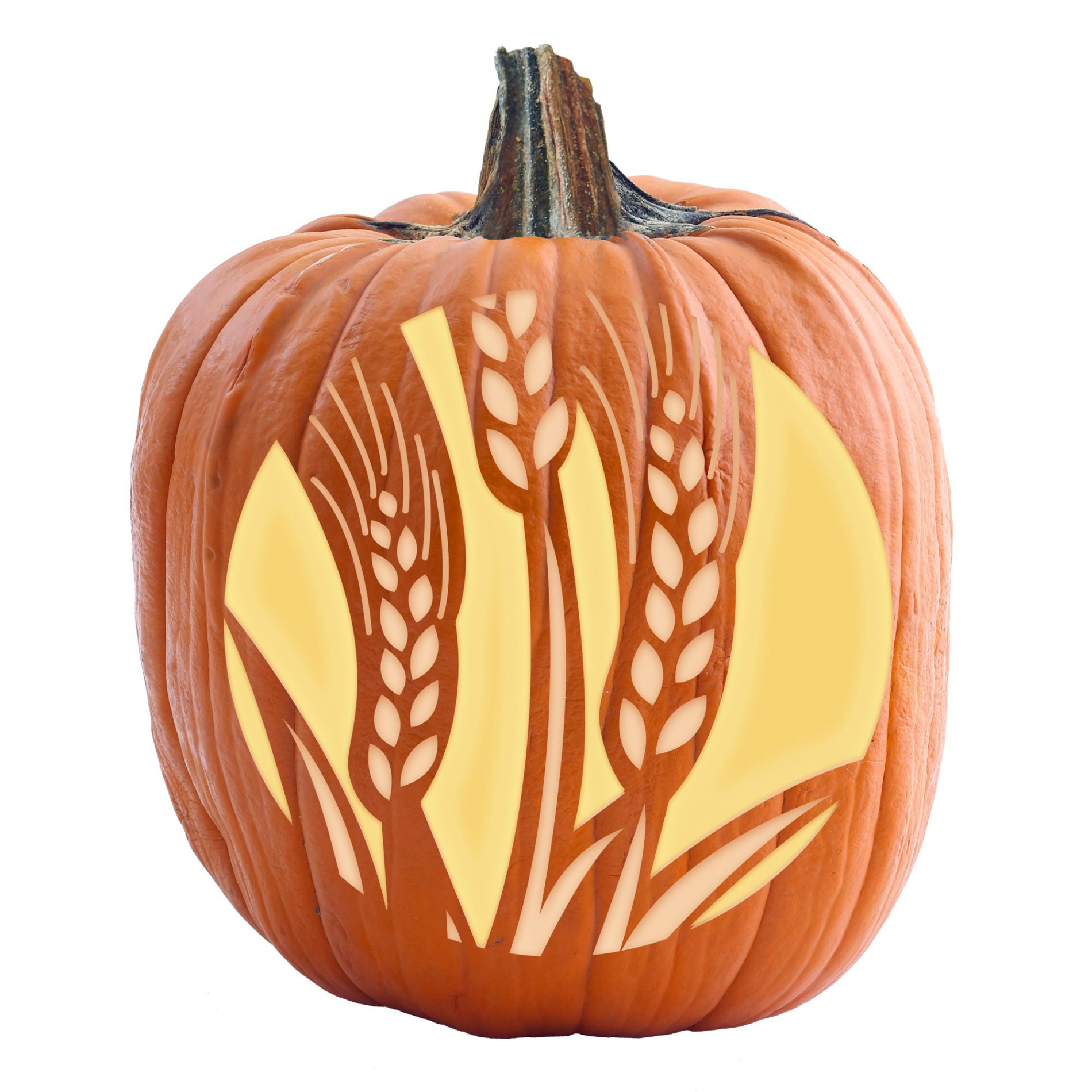 Free Printable Fall-Themed Pumpkin Carving Stencils to Carve Today