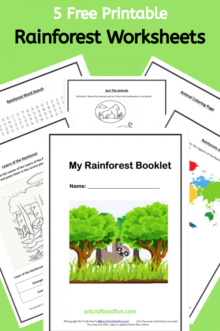 Free Printable Rainforest Worksheets -