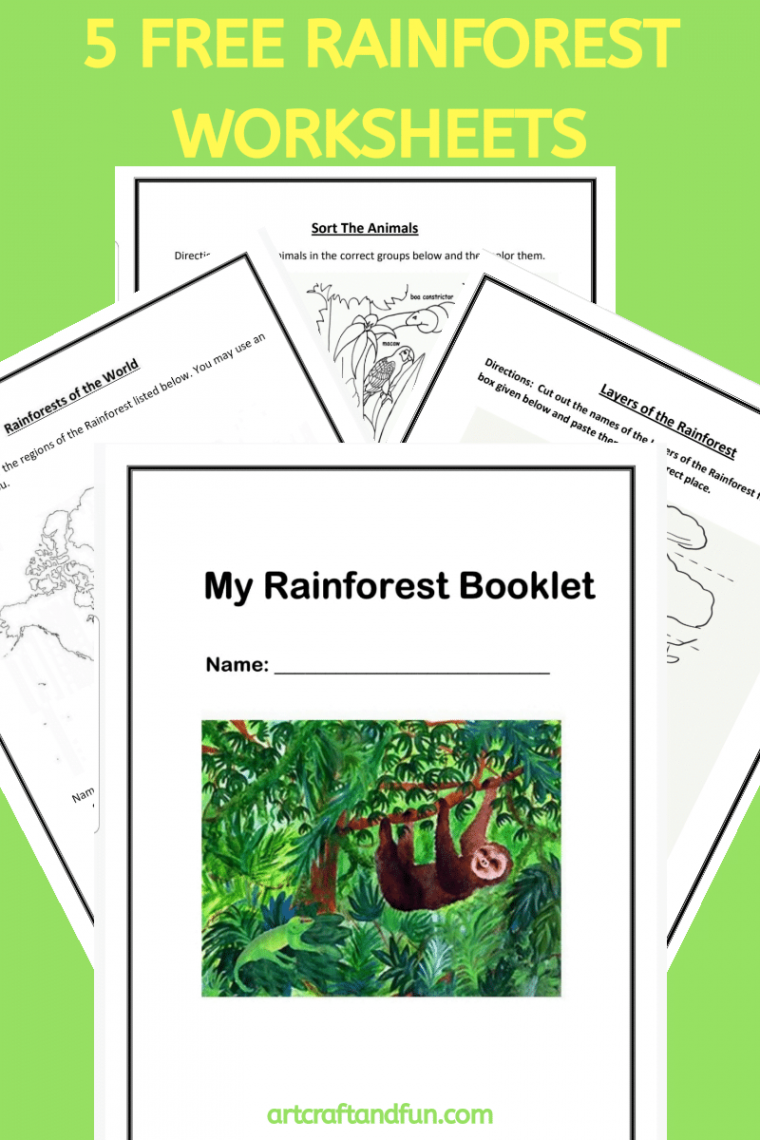 Free Printable Rainforest Worksheets -