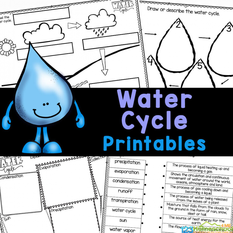 💧 FREE Printable Water Cycle Worksheets for Kids