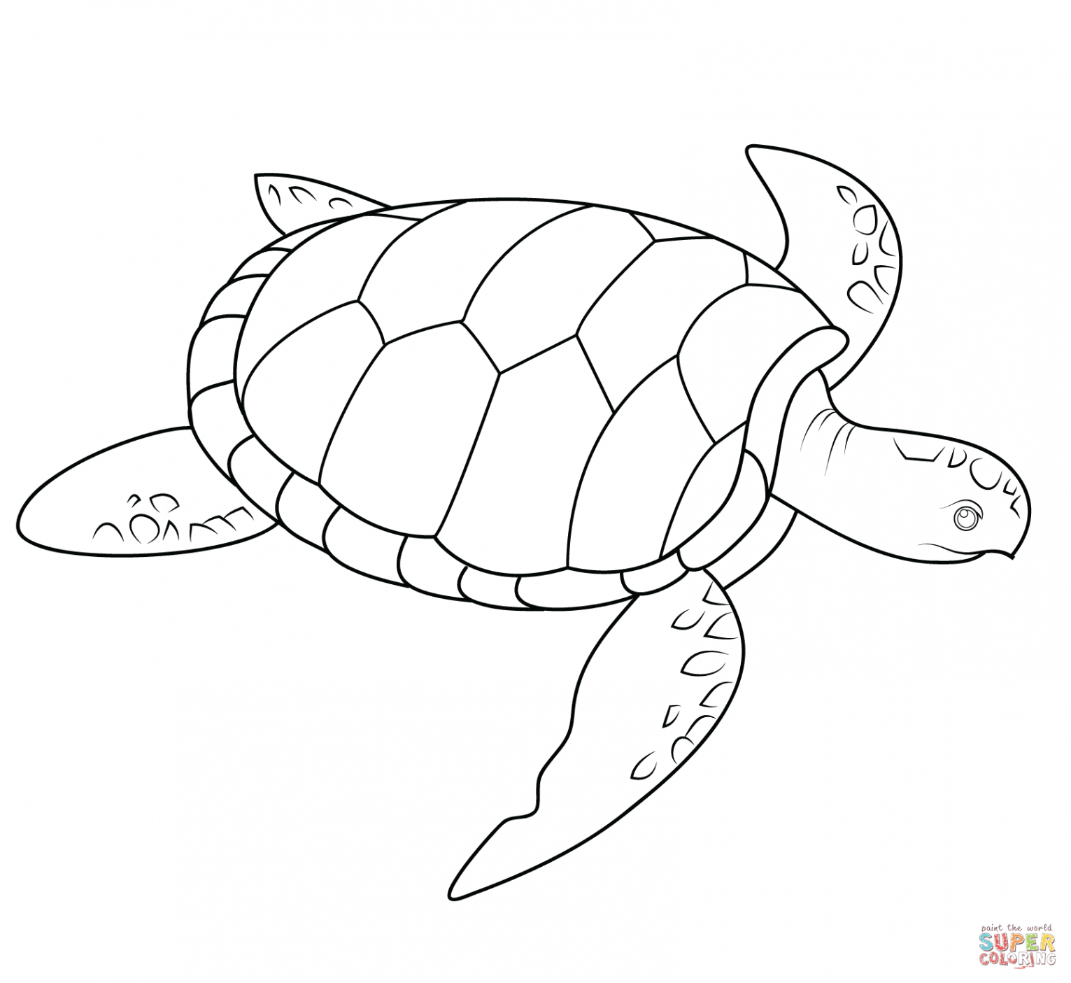 Free Sea Turtle Printables