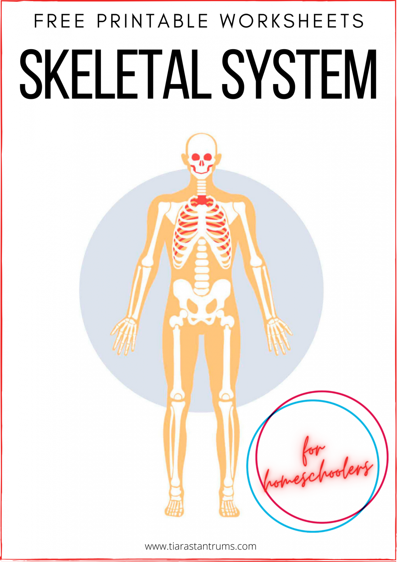 FREE Skeletal System Worksheets Printable — Tiaras & Tantrums