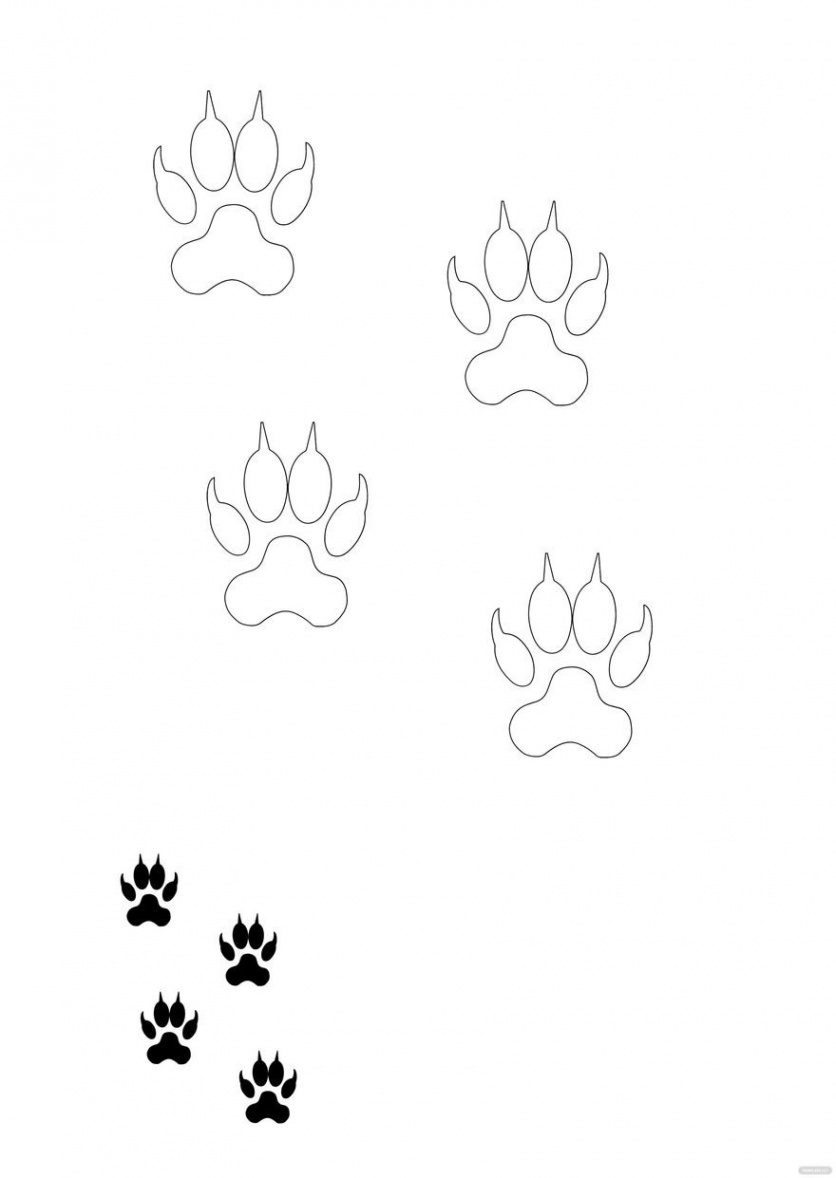 Free Tiger Paw Coloring Page - Download in PDF  Template