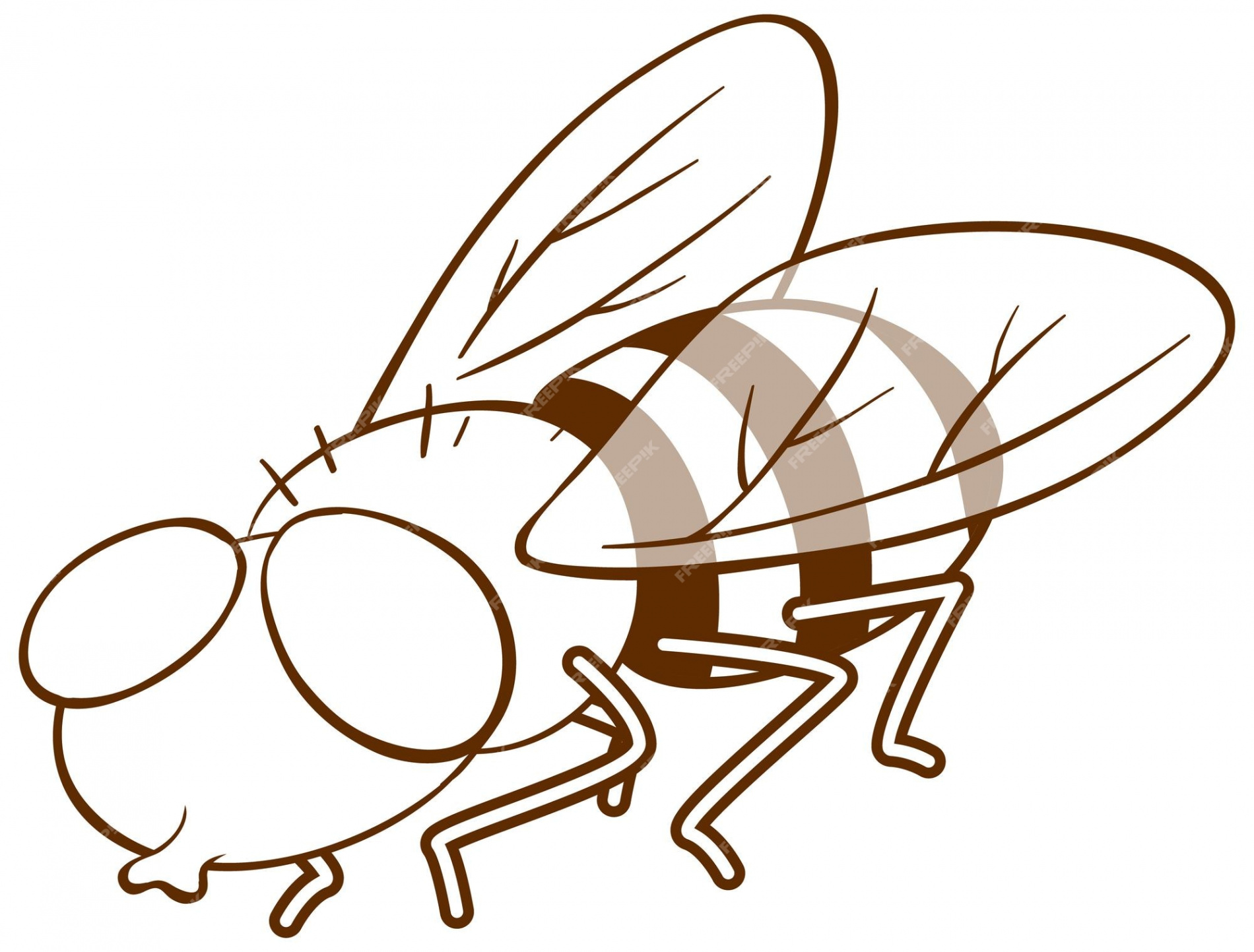 Free Vector  Fly in doodle simple style on white background