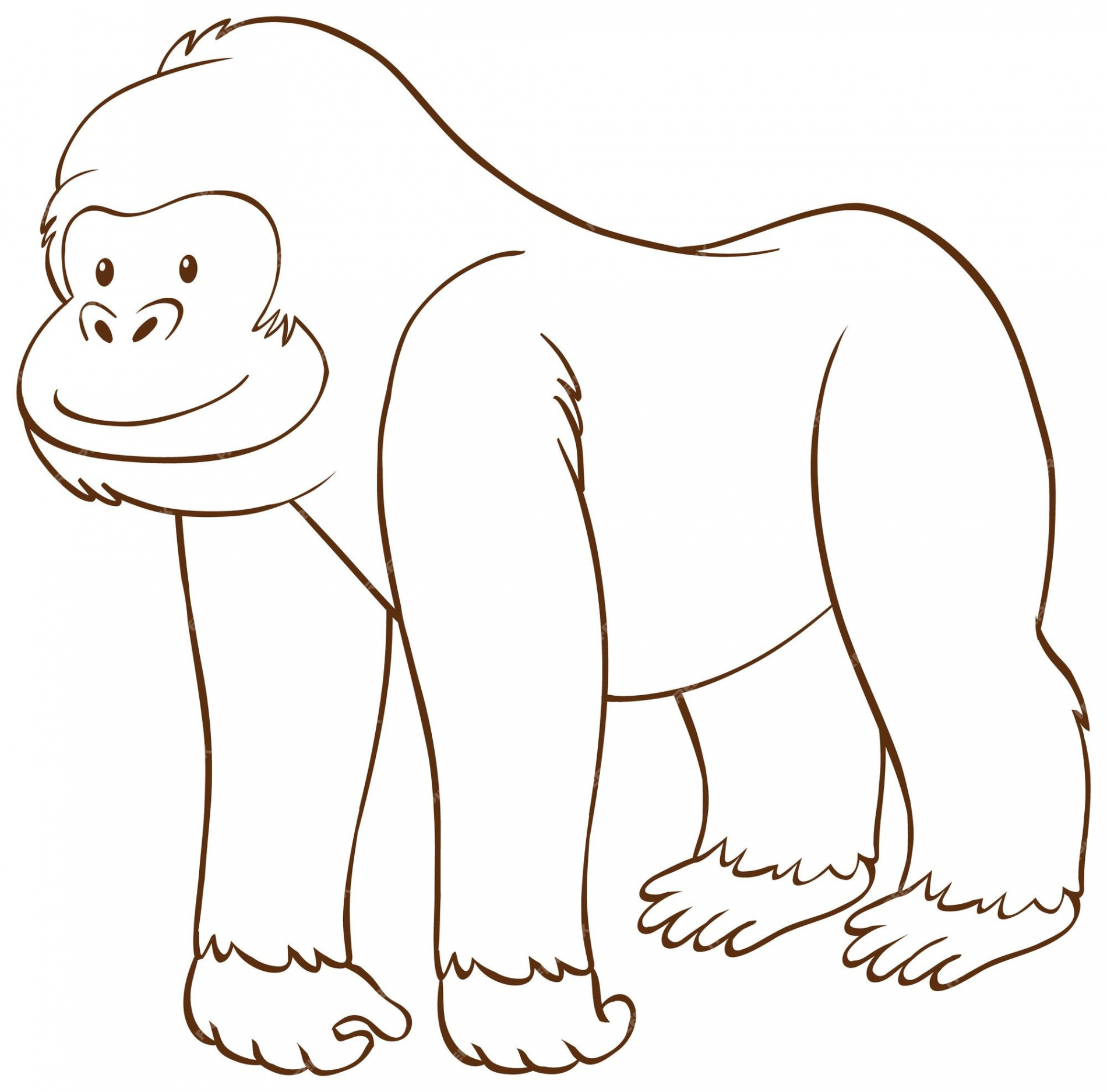 Free Vector  Gorilla in doodle simple style on white background
