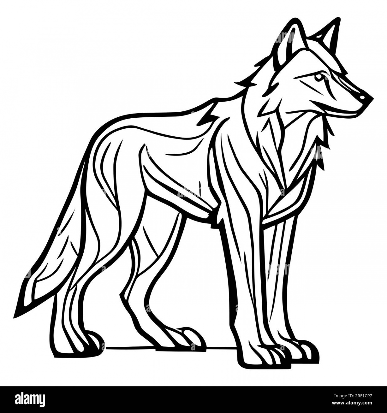 Free vector hand drawn wolf outline illustration Stock Vector