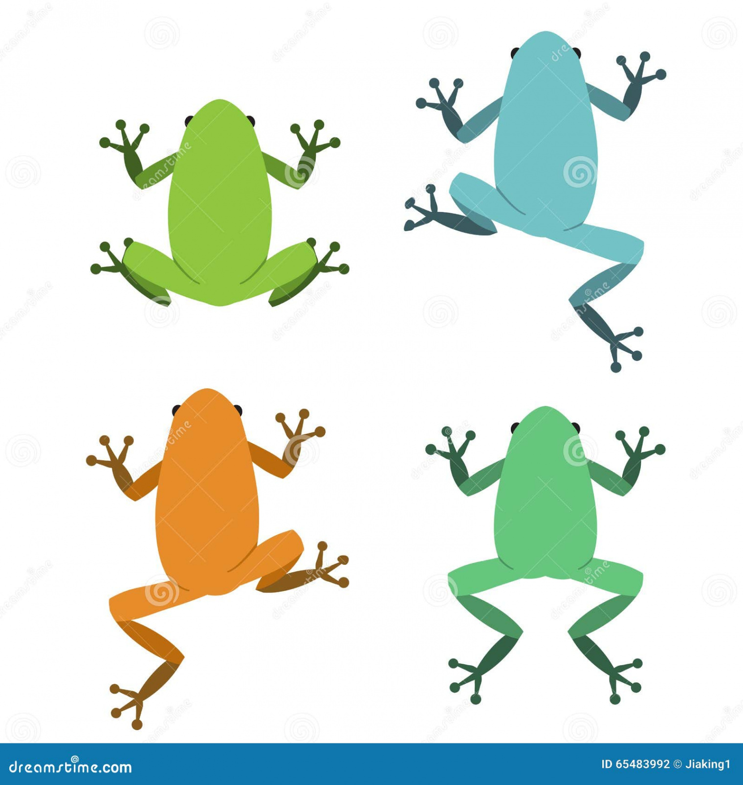 Frog Top View Stock Illustrations –  Frog Top View Stock