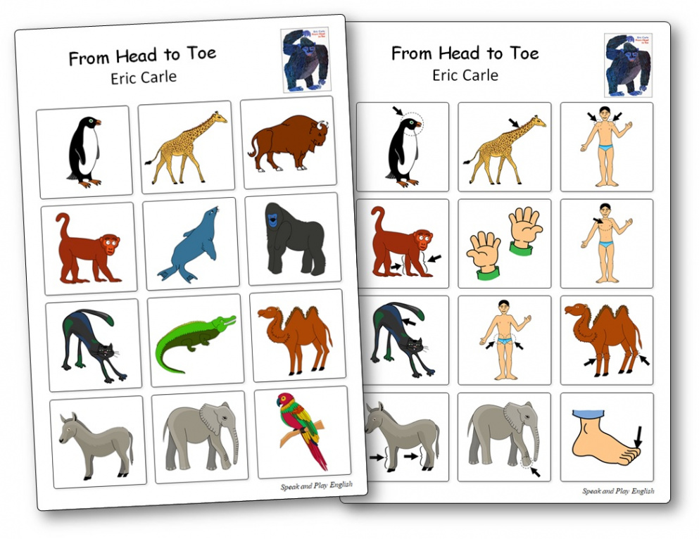 From Head to Toe by Eric Carle: Printable Activities and Worksheets