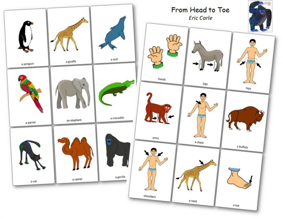 From Head to Toe by Eric Carle: Printable Activities and Worksheets