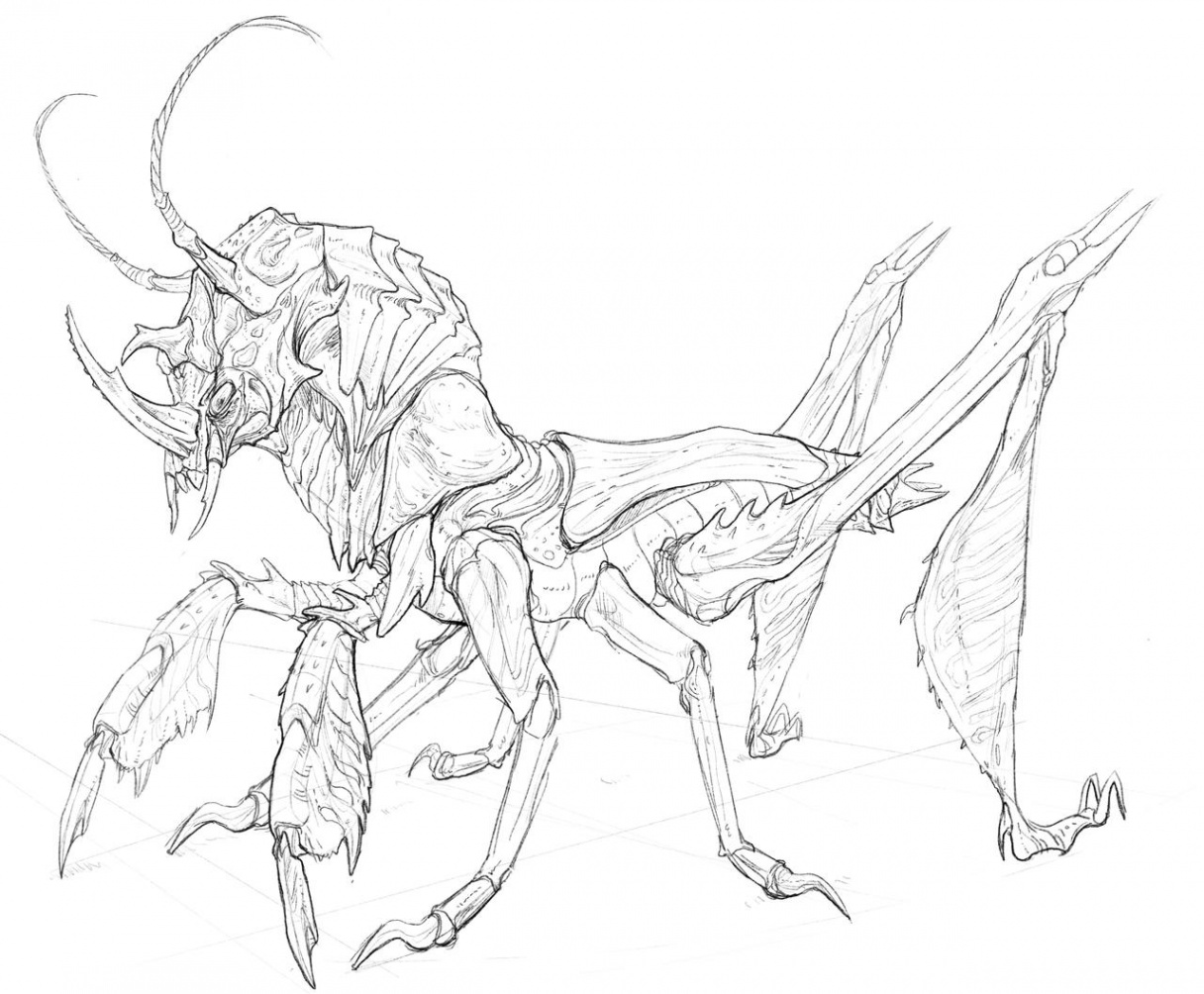 Giant Bug Drawing by bullettrainsart on DeviantArt