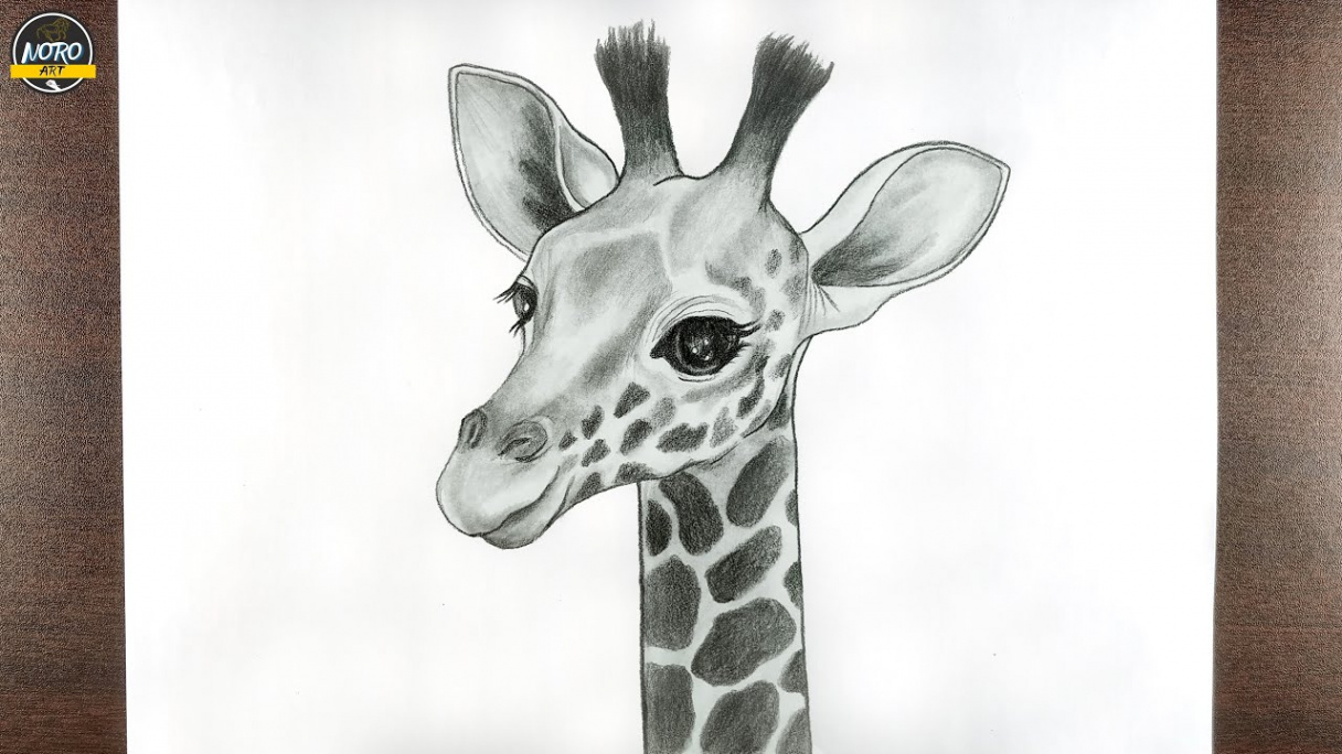 Giraffe Drawing  How to Draw Giraffe Step by Step for Beginners   Giraffe Face Drawing