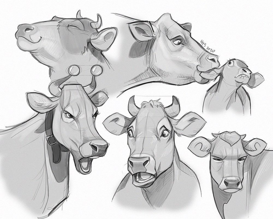 Hedvig on Instagram: “Some cow-studies I made recently 🐄 #art