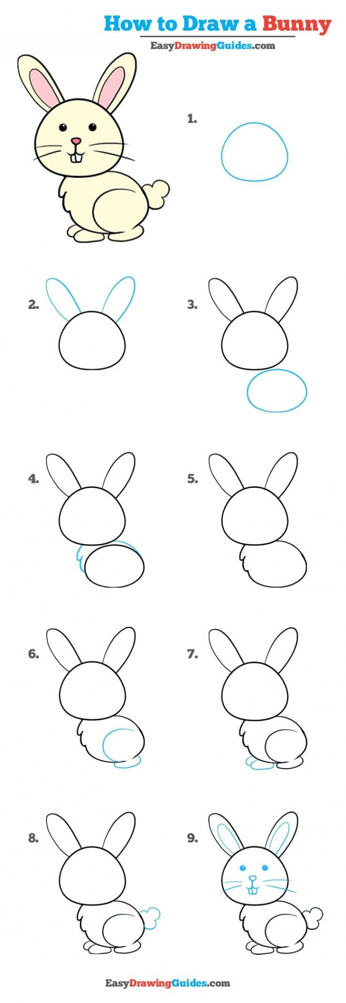How to Draw a Bunny in a Few Easy Steps  Easy Drawing Guides