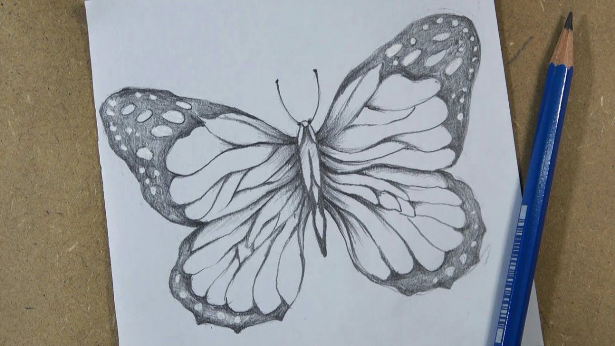 How to draw a butterfly easy step by step  Pencil  Butterfly drawing,  Butterfly art drawing, Flower drawing design