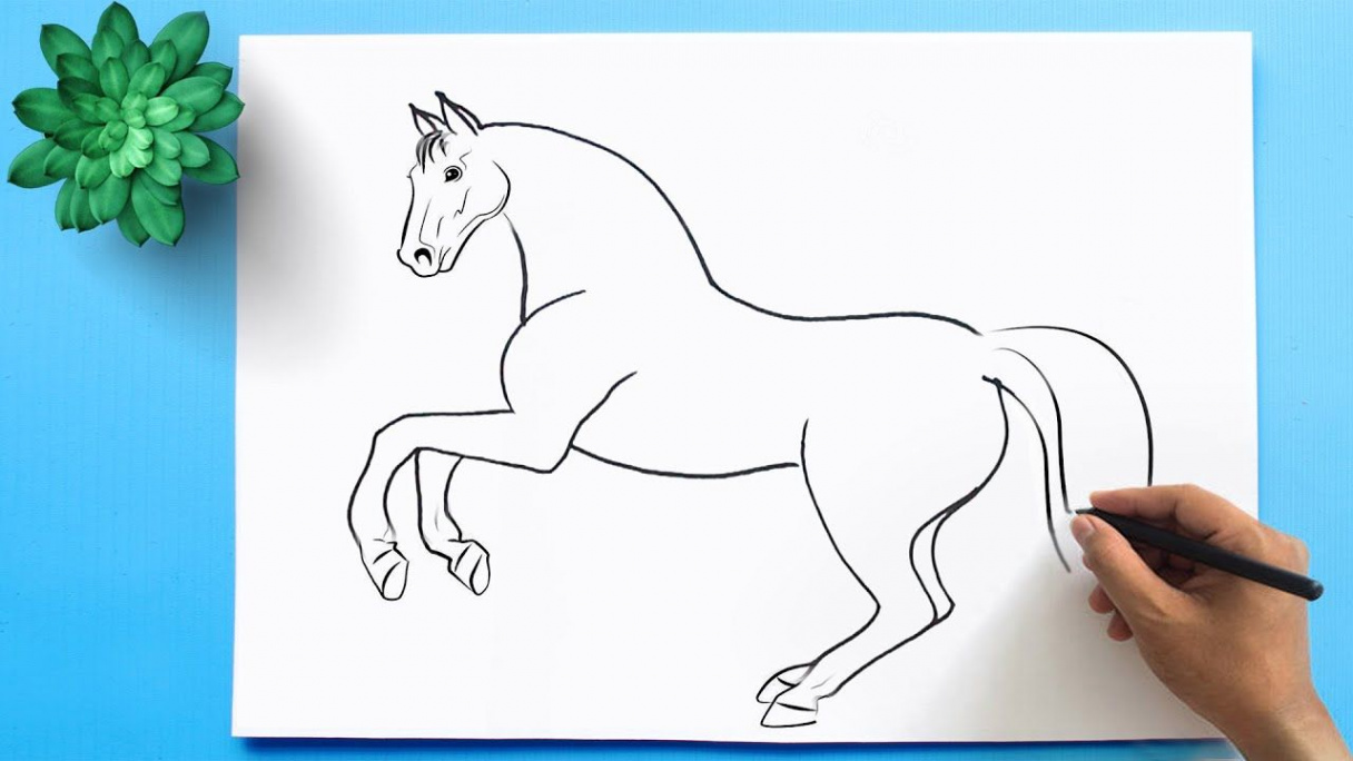 How to Draw a Horse 🐴 Horse Drawing Easy  Easy drawings, Horse