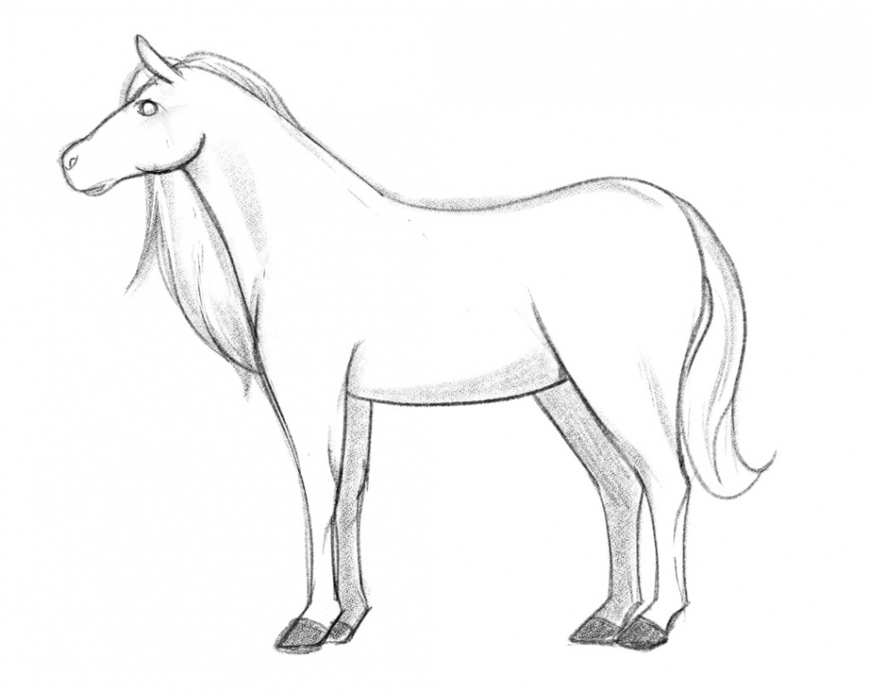 How To Draw A Horse In  Steps [A Beginner