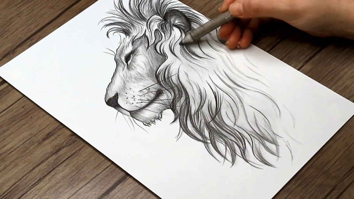 How to Draw a Lion Side View Step by Step  Lion Head Drawing