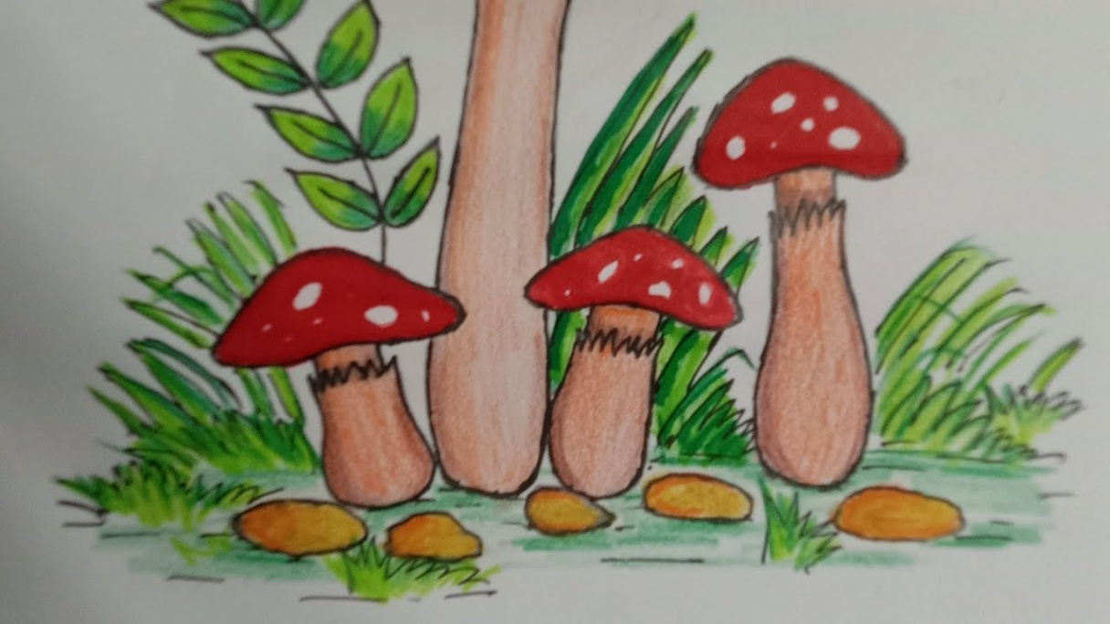 How to draw a mushroom garden🍄Easy mushroom drawing for beginners - step  by step.