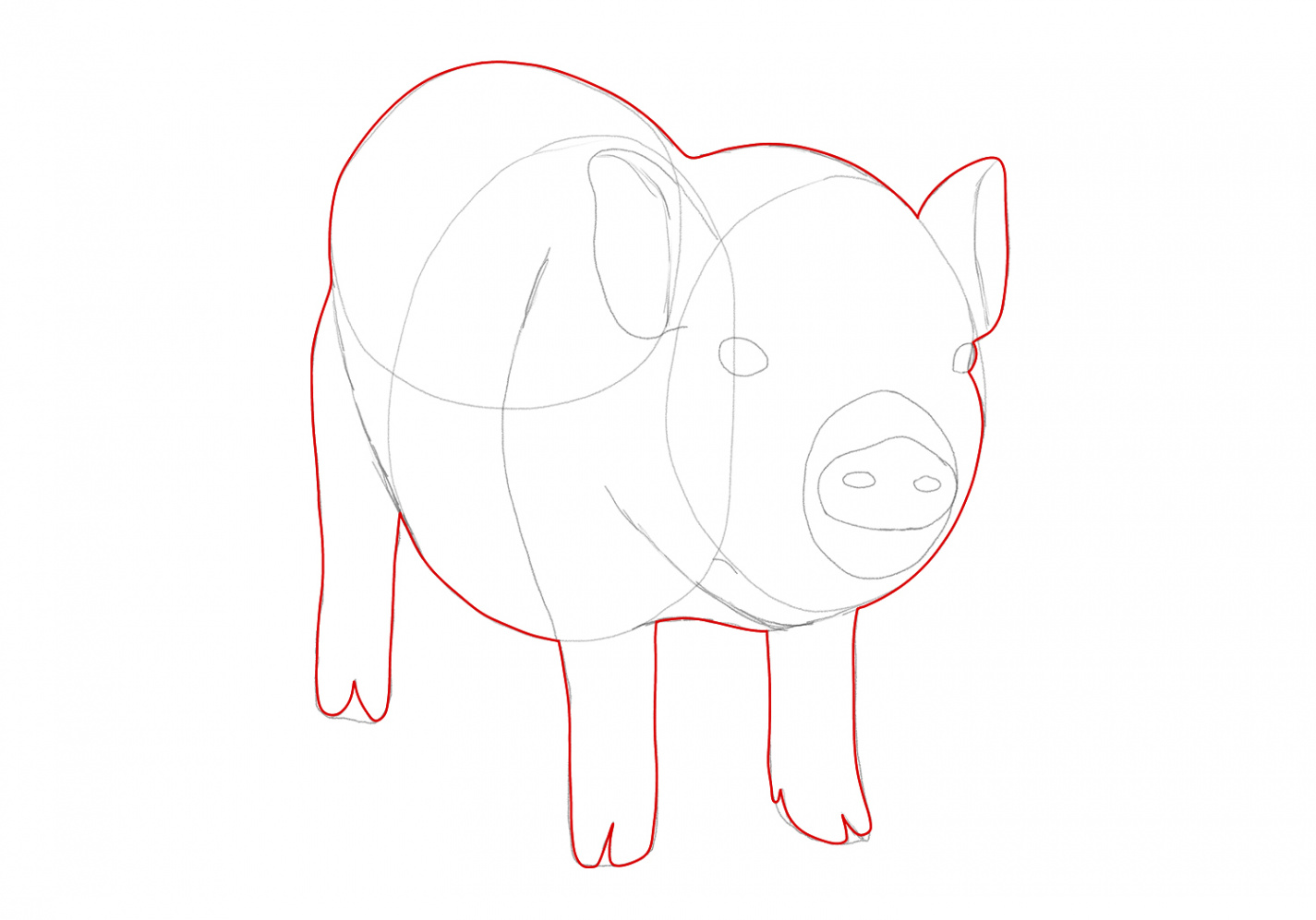 How to Draw a Pig  Design School