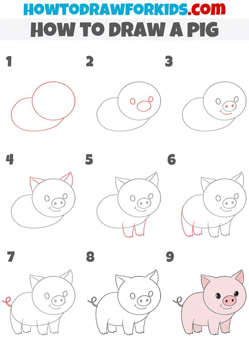 How to Draw a Pig in   Easy animal drawings, Easy drawings