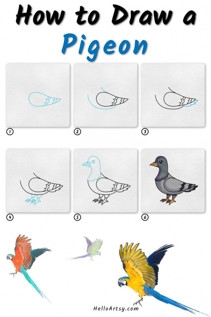 How to Draw a Pigeon -  step drawing lesson for kids  Bird