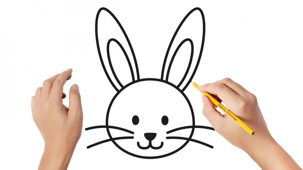 How to draw a rabbit bunny face easy step by step  Drawing for kids -  YouTube  Easy drawings for kids, Rabbit drawing easy, Bunny drawing