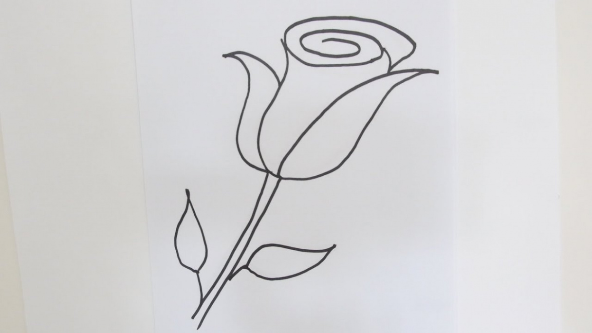 How to draw a rose flower - Easy step-by-step drawing lessons for kids