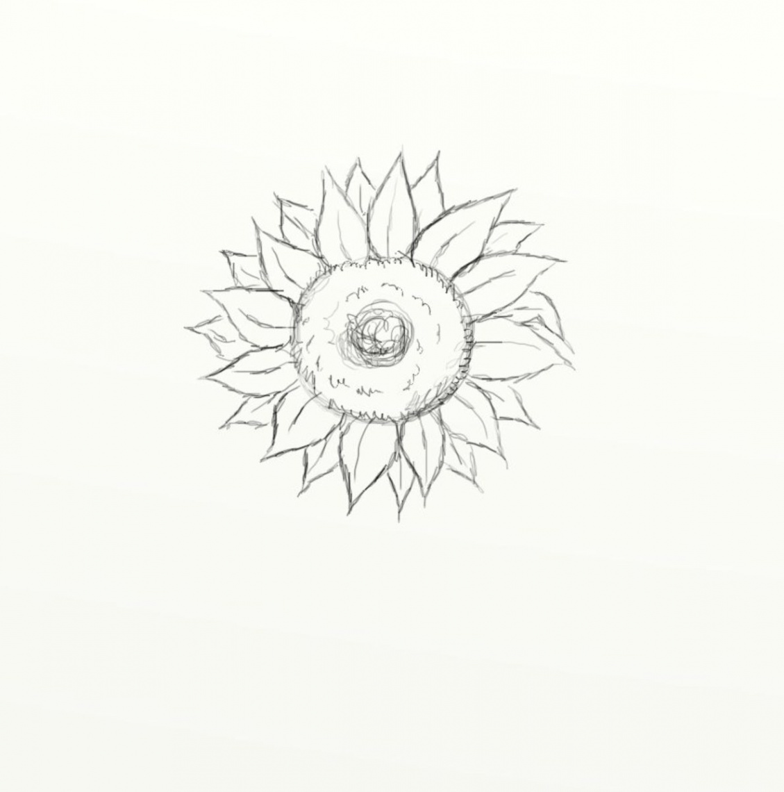 How to Draw a Sunflower (in  Easy Steps) - FeltMagnet