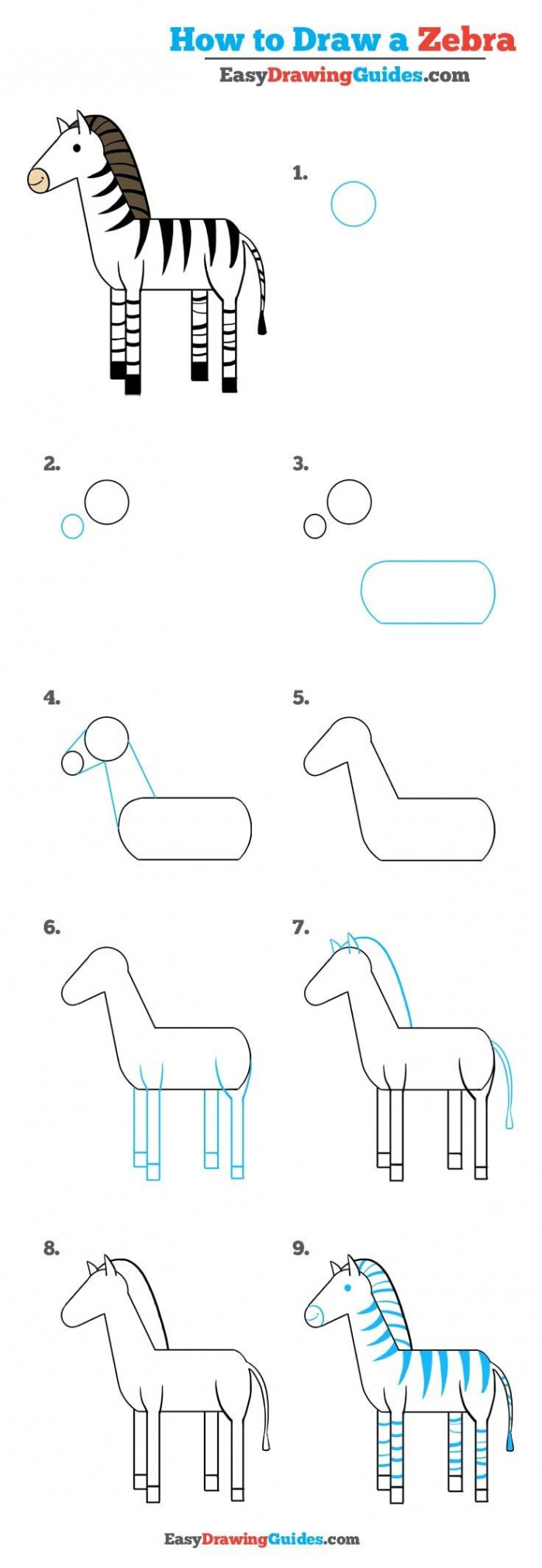 How to Draw a Zebra - Really Easy Drawing Tutorial  얼룩말 그리기