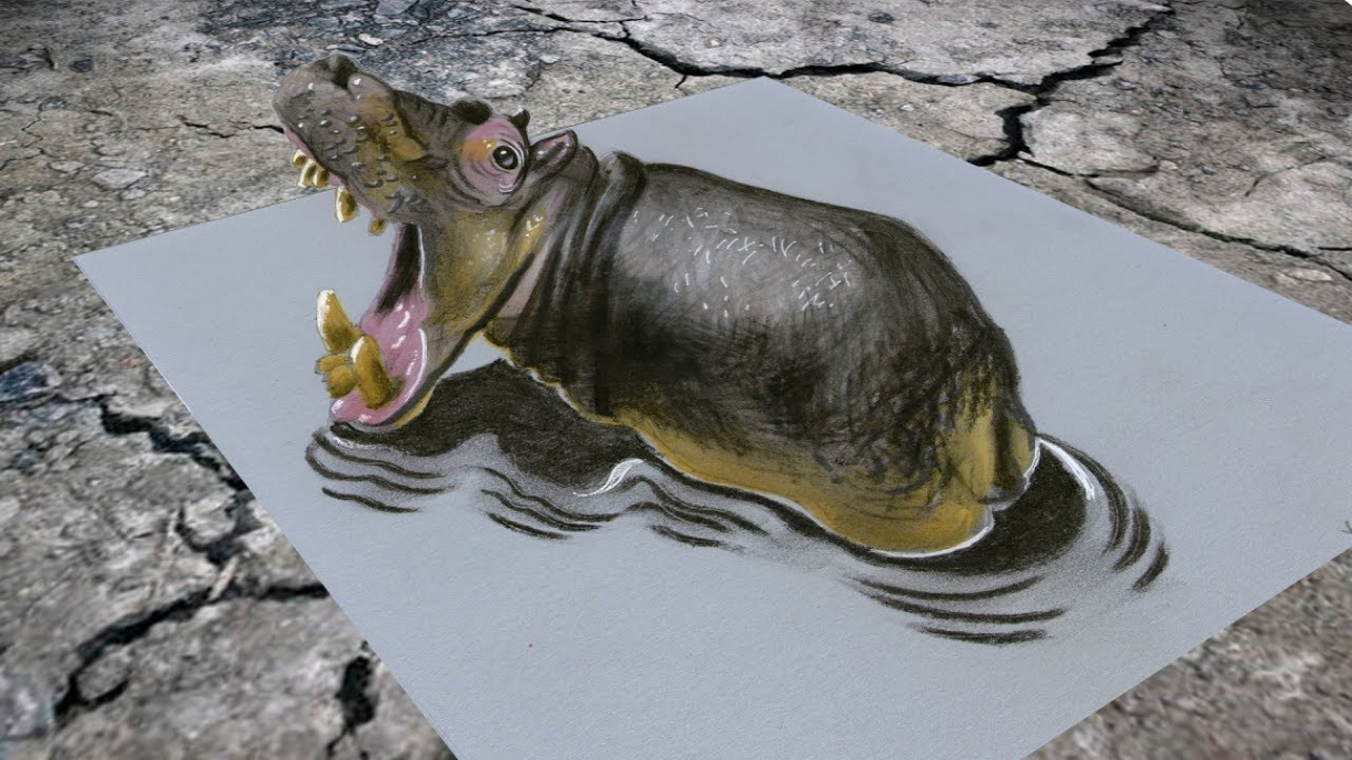 HOW TO DRAW HIPPO IN THE WATER ✅ - D Anamorphosis - By Vamos