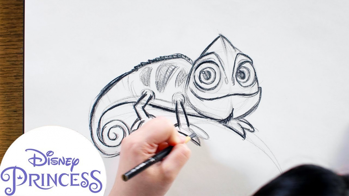 How to Draw Pascal from Tangled  Disney Princess