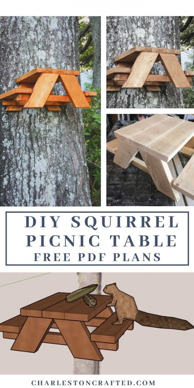 How to make a squirrel picnic table - free PDF plans!  Squirrel