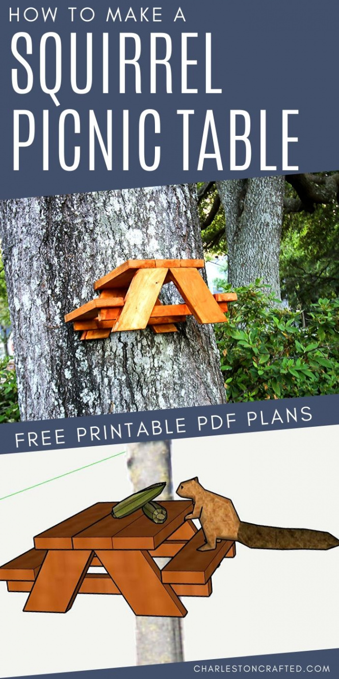 How to make a squirrel picnic table - free PDF plans!