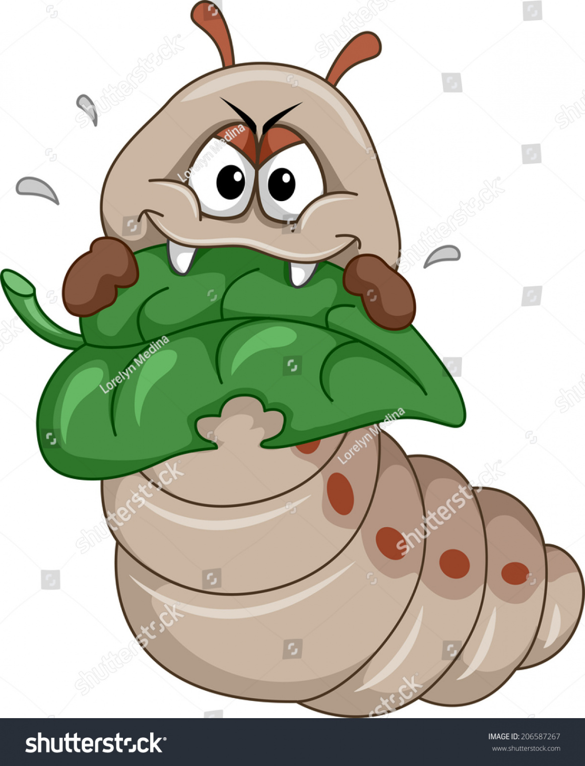 + Hundred Caterpillar Eating Leaves Royalty-Free Images, Stock