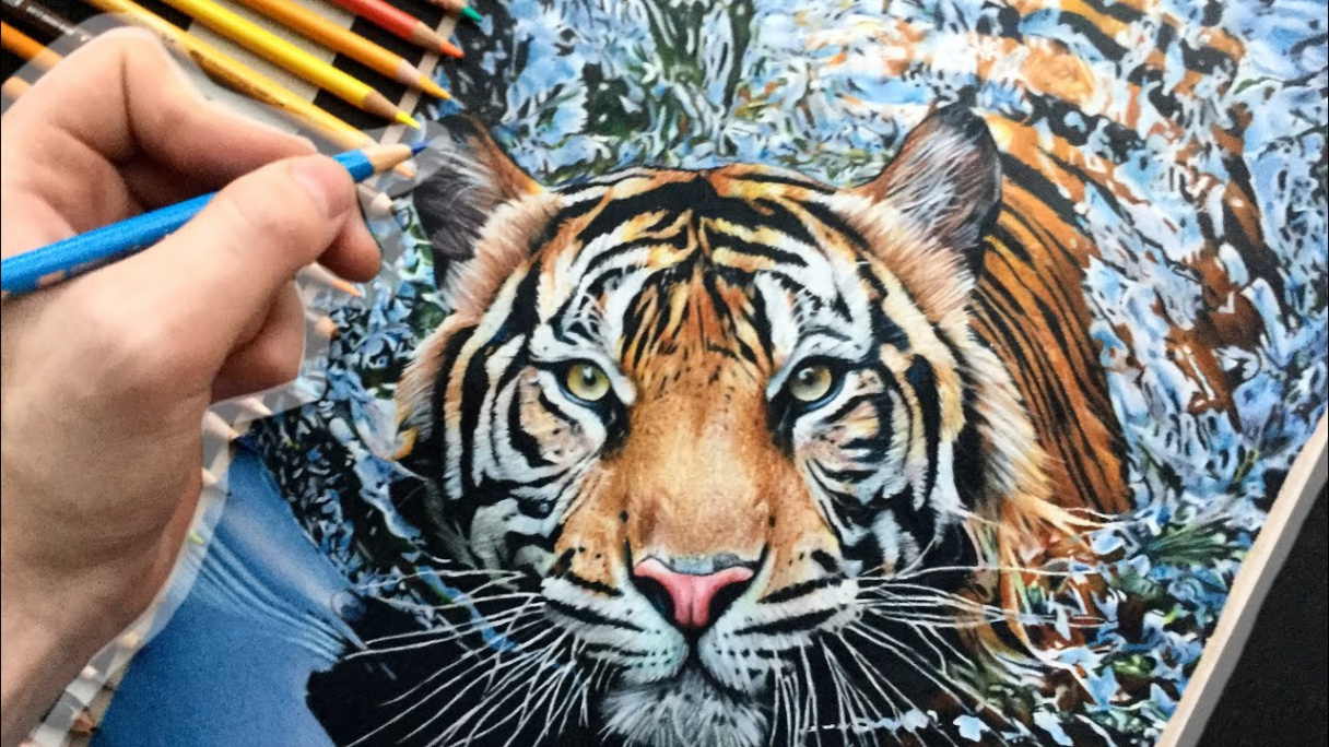 Hyper-realistic Tiger Drawing ( hours+)