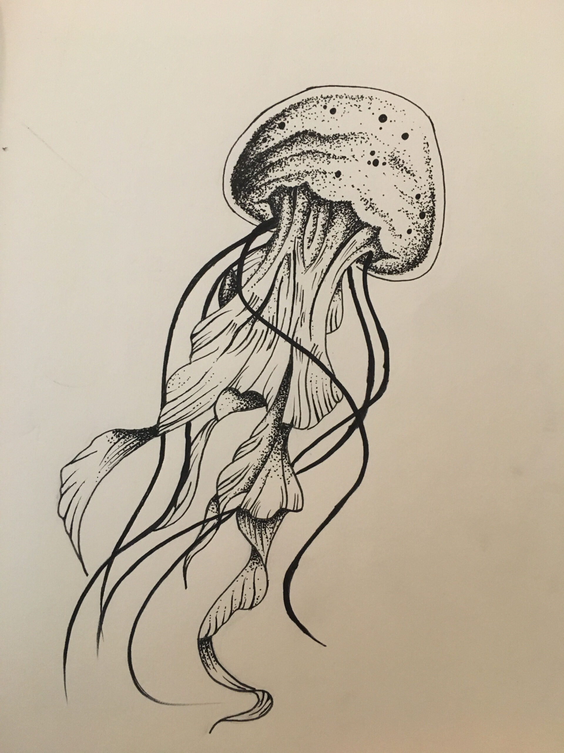 Jellyfish black pen dot art!  Jellyfish art, Outline art