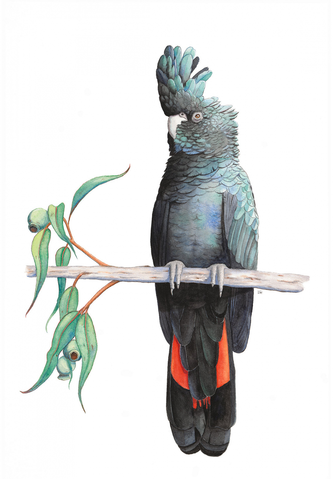 Julia Hales - A / None (Rolled Print Only) / Fine Art Paper