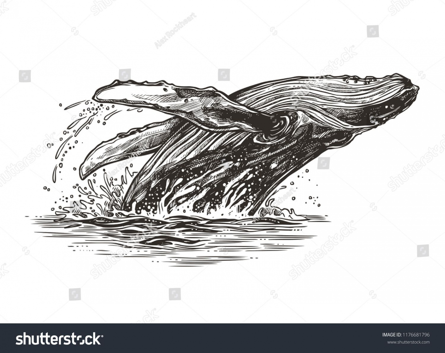 Jumping in the ocean humpback whale