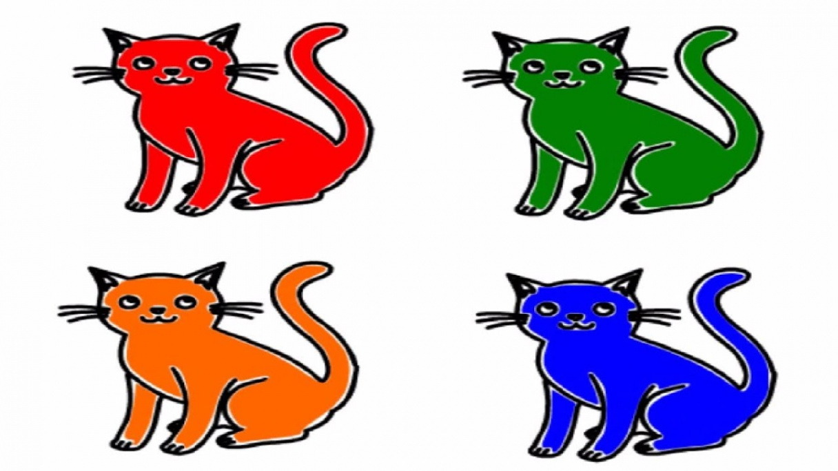 Kids Drawing  How to Draw  Cats and Filling Different Colors  Drawing  For Kids, Toddler