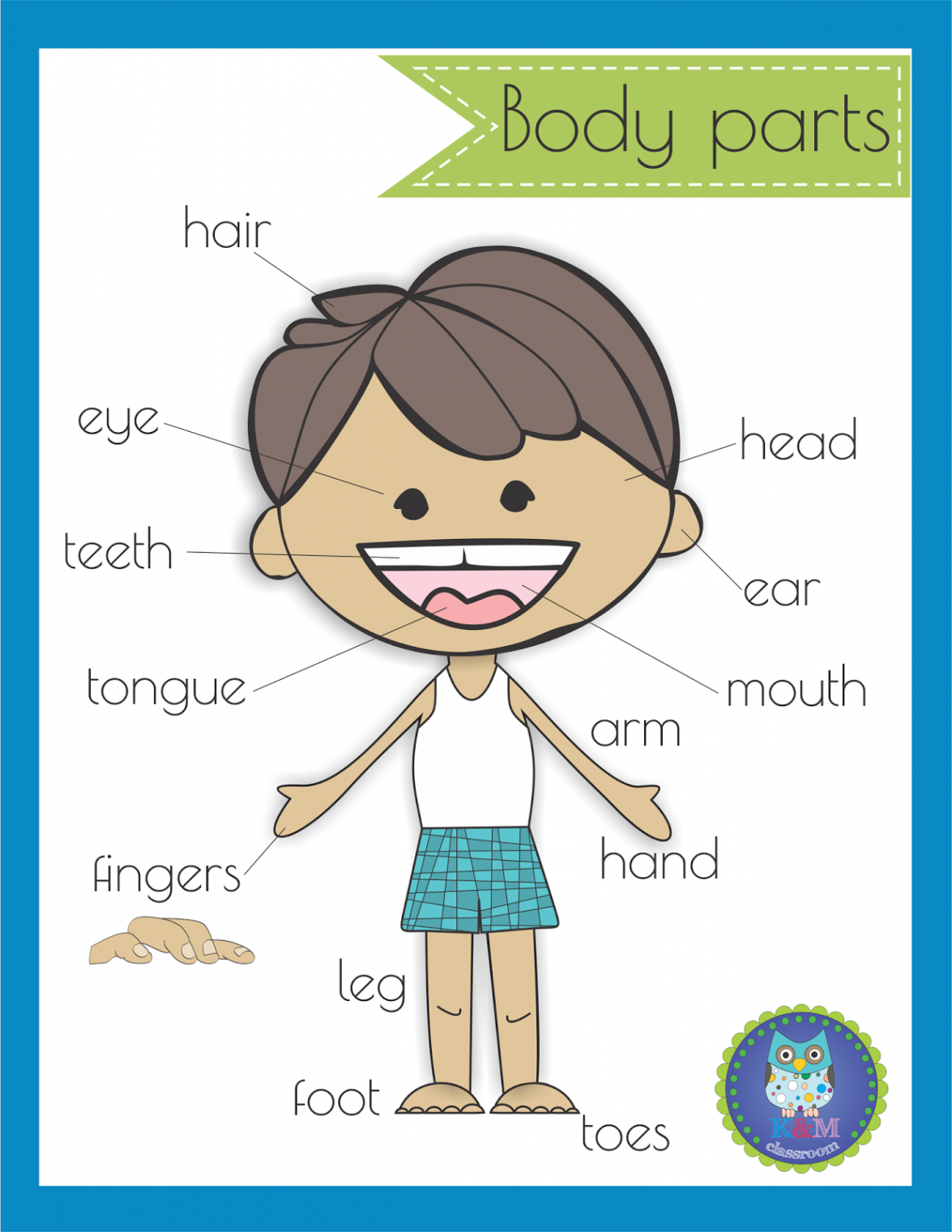 KM Classroom: Free Body Parts Poster