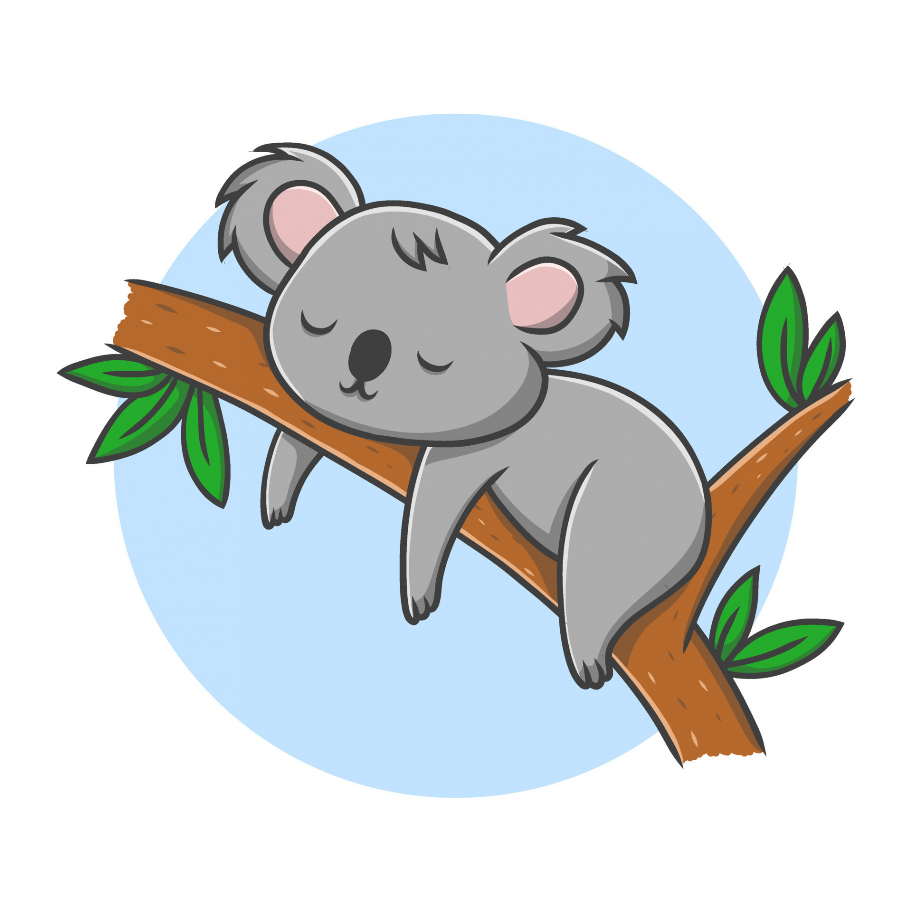 Koala Animal Drawing Cartoon