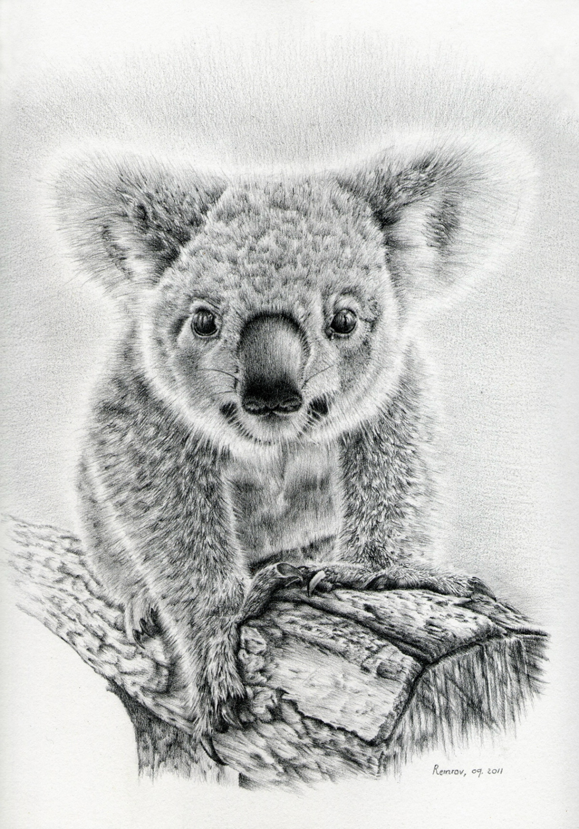Koala Art auf Behance