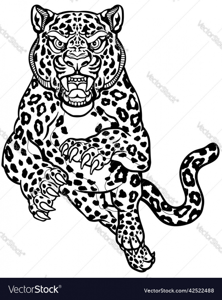 Leopard jump in the front view black and white Vector Image