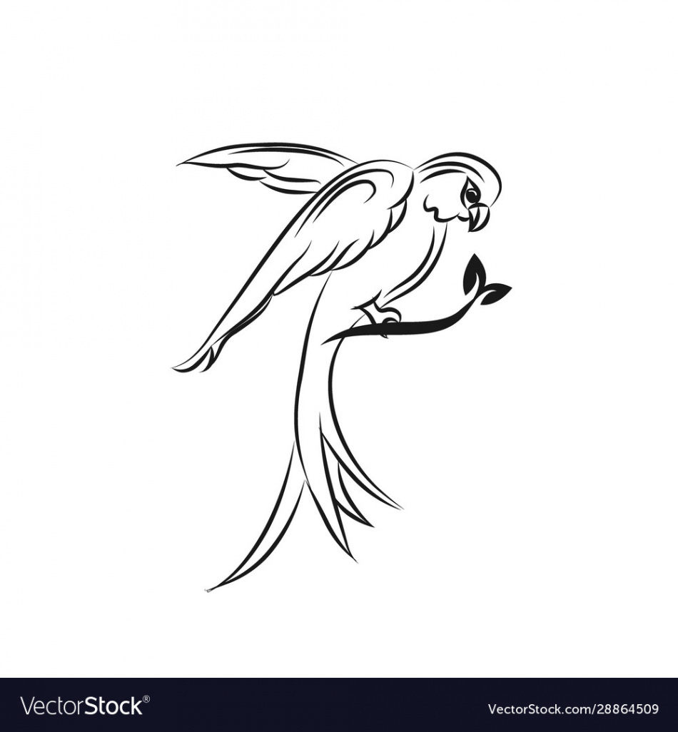 Line bird logo pigeon silhouette flying abstract Vector Image