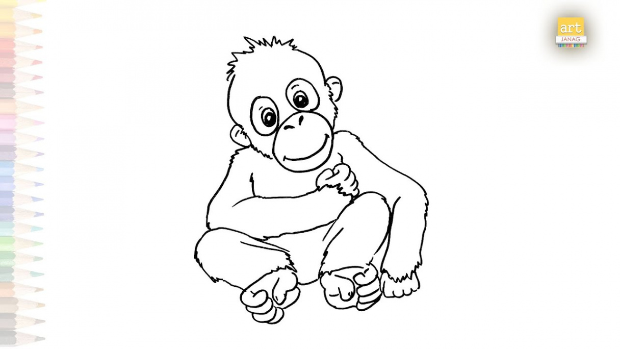 Little orangutan drawings  Orangutan drawing How to draw baby Orangutan  step by step  #artjanag