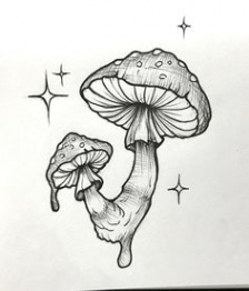 Mushroom drawing ideas  mushroom drawing, mushroom art, sketches