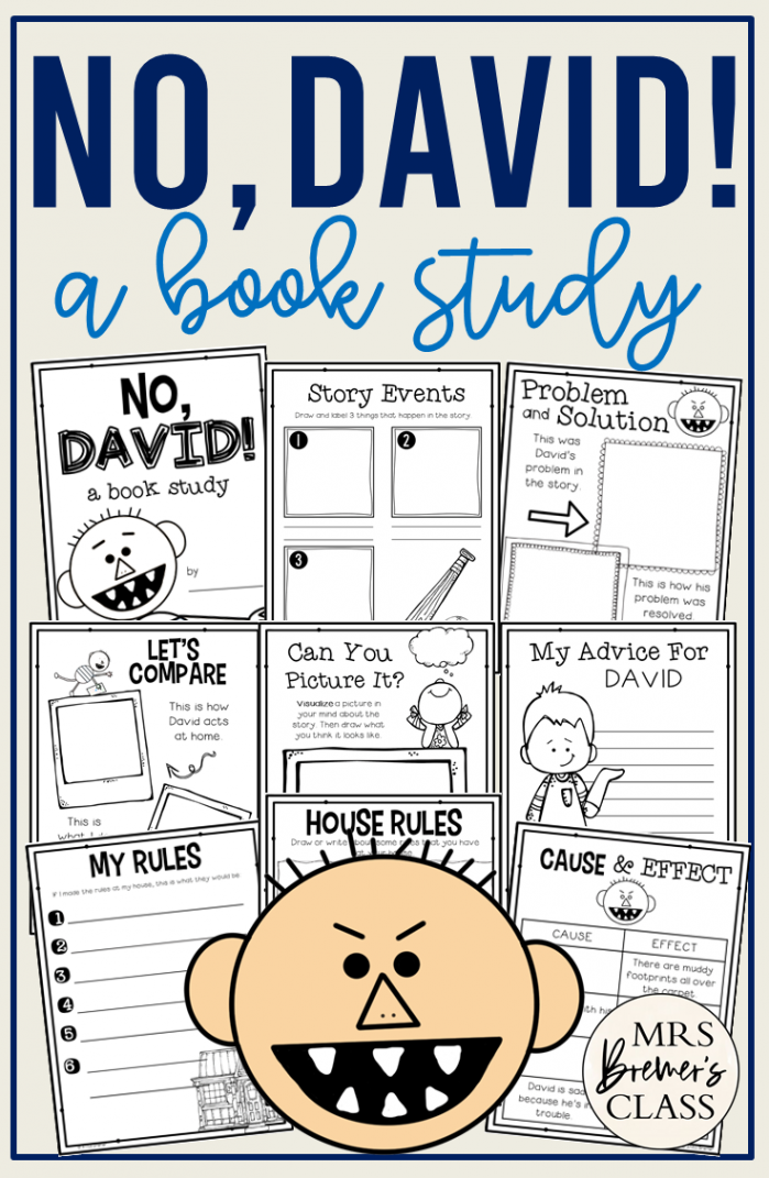 No David  Book Activities and Craftivity  Mrs