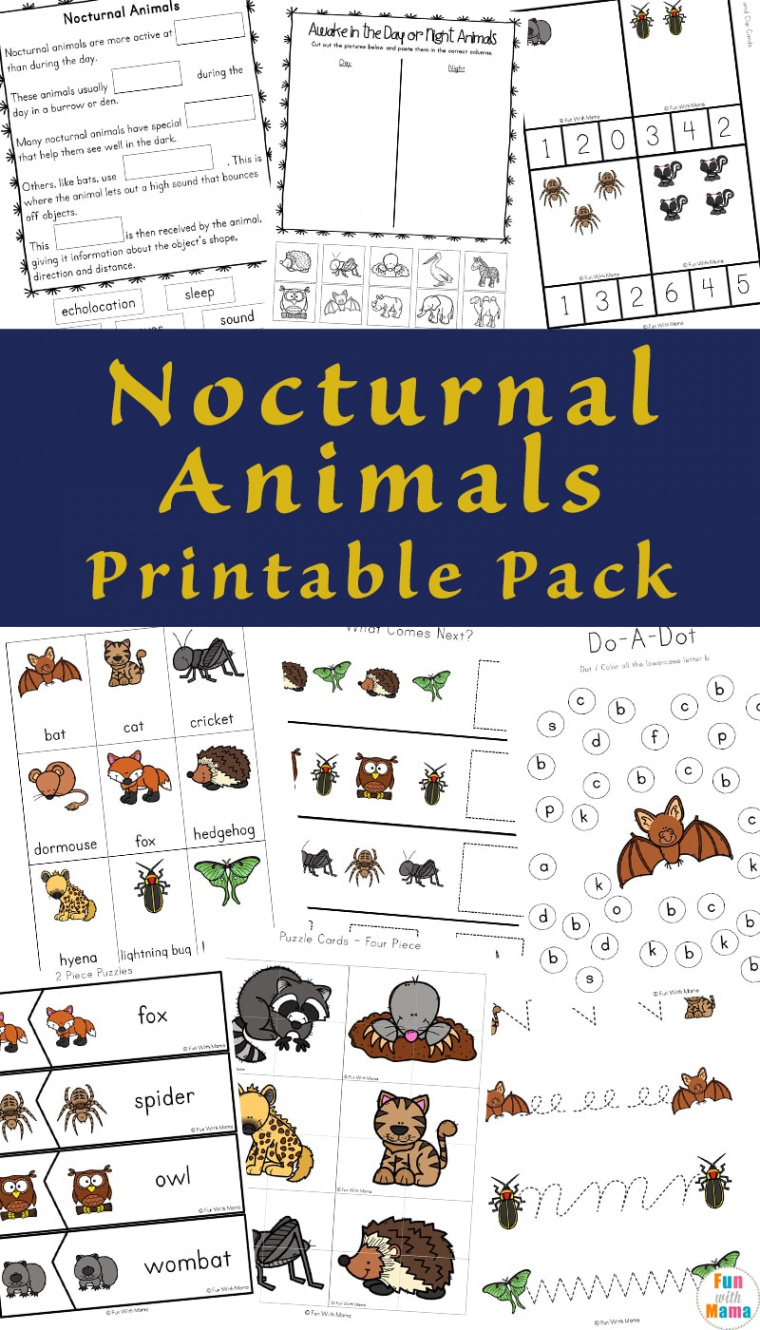 Nocturnal Animals For Kids - Fun with Mama